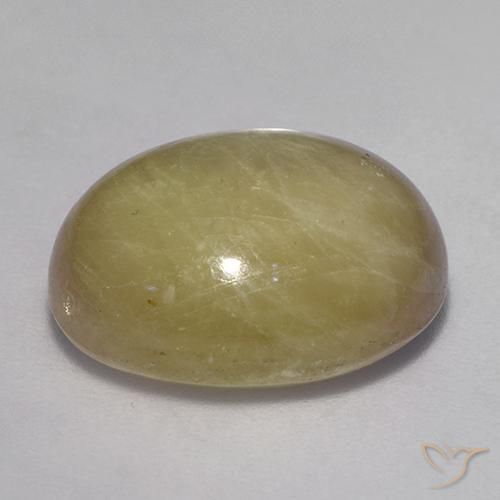 Zaffiro stellato Giallo dorato naturale da 16.71 ct, Ovale, Opaco