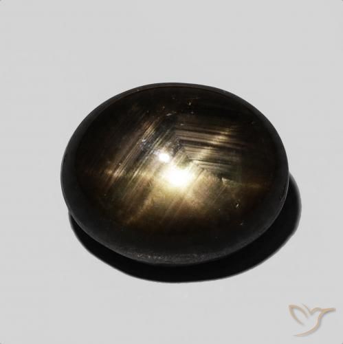 9.54ct Naturale Nero Zaffiro stellato, Ovale, Opaco