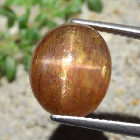 Pietra solare stellare Marrone dorato naturale da 7.13 ct, Taglio ovale, Opaco