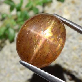 Pietra solare stellare Marrone dorato naturale da 7.13 ct, Taglio ovale, Opaco