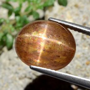 Pietra solare stellare Marrone dorato naturale da 7.13 ct, Taglio ovale, Opaco