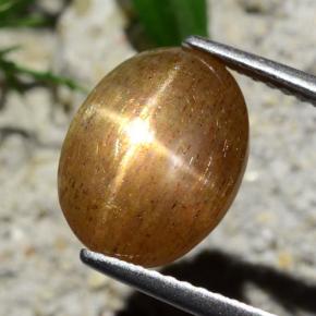 Pietra solare stellare Marrone dorato naturale da 4.76 ct, Taglio ovale, Opaco