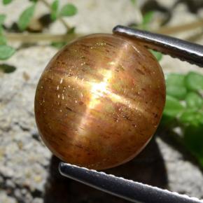 Pietra del sole stellata marrone dorato naturale da 6,17 ct, taglio ovale, opaco