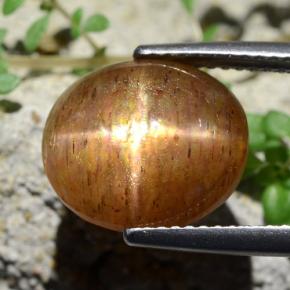 Pietra del sole stellata marrone dorato naturale da 6,17 ct, taglio ovale, opaco