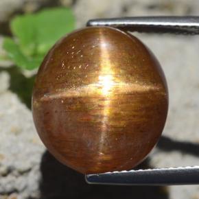 Pietra solare stellare Marrone dorato naturale da 17.89 ct, Taglio ovale, Opaco