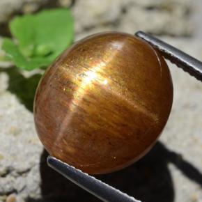 Pietra solare stellare Marrone dorato naturale da 17.89 ct, Taglio ovale, Opaco