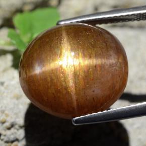 Pietra solare stellare Marrone dorato naturale da 17.89 ct, Taglio ovale, Opaco