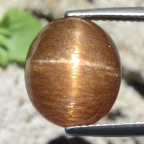 Pietra del sole stellata marrone dorato naturale da 9,87 ct, taglio ovale, opaco
