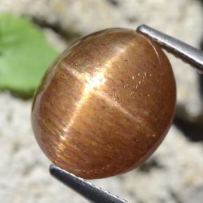 Pietra del sole stellata marrone dorato naturale da 9,87 ct, taglio ovale, opaco