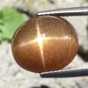 Pietra del sole stellata marrone dorato naturale da 9,87 ct, taglio ovale, opaco