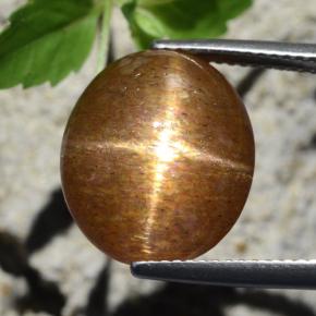Pietra del sole stellata naturale marrone da 12,64 ct, taglio ovale, opaco