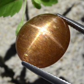 Pietra del sole stellata naturale marrone da 12,64 ct, taglio ovale, opaco