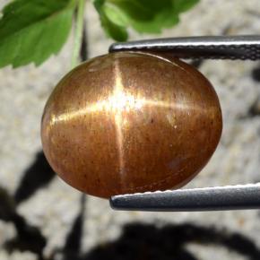 Pietra del sole stellata naturale marrone da 12,64 ct, taglio ovale, opaco