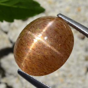 Pietra solare stellare Marrone dorato naturale da 5.23 ct, Taglio ovale, Opaco