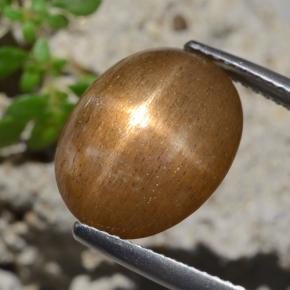 Pietra solare stellare Marrone dorato naturale da 7.47 ct, Taglio ovale, Opaco