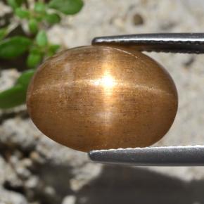 Pietra solare stellare Marrone dorato naturale da 7.47 ct, Taglio ovale, Opaco