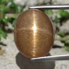 Pietra del sole stellata naturale marrone da 10,14 ct, taglio ovale, opaco