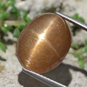 Pietra del sole stellata naturale marrone da 10,14 ct, taglio ovale, opaco