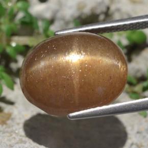 Pietra del sole stellata naturale marrone da 10,14 ct, taglio ovale, opaco