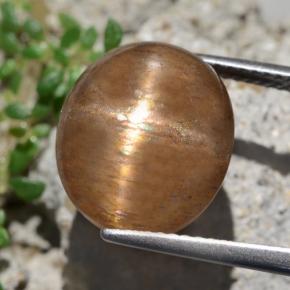 Pietra del sole stellata naturale marrone da 9,50 ct, taglio ovale, opaco
