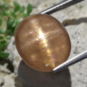 Pietra del sole stellata naturale marrone da 9,50 ct, taglio ovale, opaco