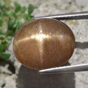 Pietra del sole stellata naturale marrone da 9,50 ct, taglio ovale, opaco