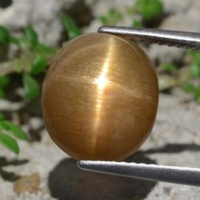 Pietra del sole stellata naturale marrone da 6,94 ct, taglio ovale, opaco