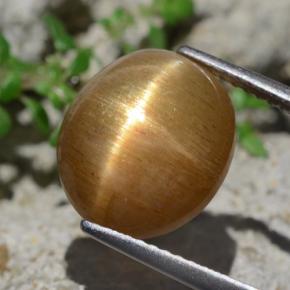 Pietra del sole stellata naturale marrone da 6,94 ct, taglio ovale, opaco