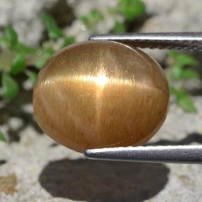 Pietra del sole stellata naturale marrone da 6,94 ct, taglio ovale, opaco