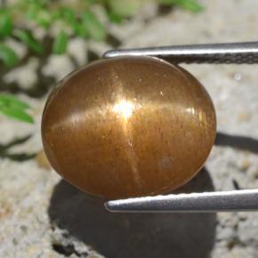 Pietra solare stellare Marrone medio-chiaro naturale da 9.02 ct, Taglio ovale, Opaco