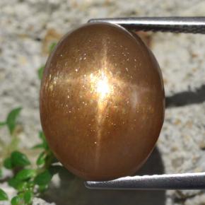 Pietra solare stellare Marrone dorato naturale da 13.59 ct, Taglio ovale, Opaco