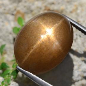 Pietra solare stellare Marrone dorato naturale da 13.59 ct, Taglio ovale, Opaco
