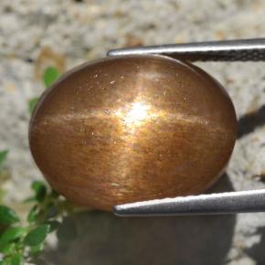 Pietra solare stellare Marrone dorato naturale da 13.59 ct, Taglio ovale, Opaco