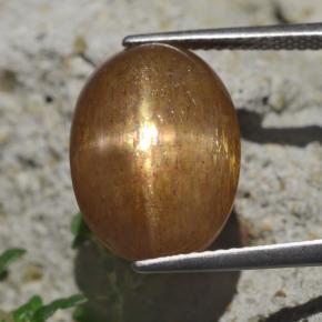 Pietra solare stellare Marrone dorato naturale da 9.58 ct, Taglio ovale, Opaco