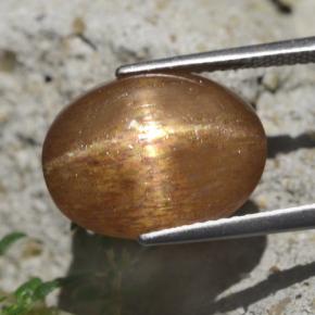 Pietra solare stellare Marrone dorato naturale da 9.58 ct, Taglio ovale, Opaco