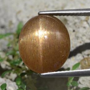 Pietra del sole stellata marrone dorato naturale da 6,20 ct, taglio ovale, opaco