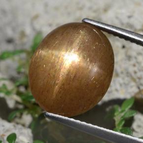 Pietra del sole stellata marrone dorato naturale da 6,20 ct, taglio ovale, opaco