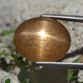 Pietra del sole stellata marrone dorato naturale da 6,20 ct, taglio ovale, opaco