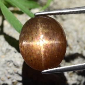 Pietra solare stellare Marrone dorato naturale da 8.75 ct, Taglio ovale, Opaco