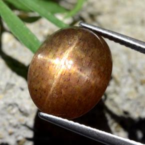 Pietra solare stellare Marrone dorato naturale da 8.75 ct, Taglio ovale, Opaco