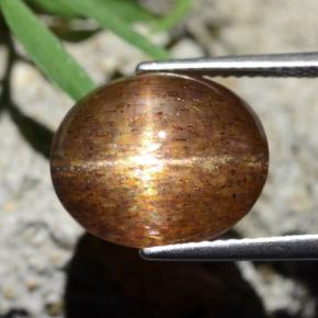 Pietra solare stellare Marrone dorato naturale da 8.75 ct, Taglio ovale, Opaco