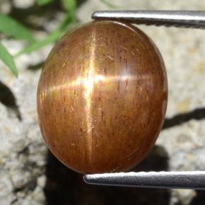 Pietra solare stellare Marrone dorato naturale da 9.75 ct, Taglio ovale, Opaco