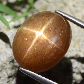 Pietra solare stellare Marrone dorato naturale da 9.75 ct, Taglio ovale, Opaco