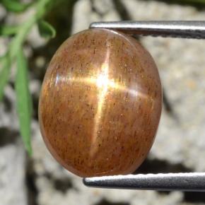 Pietra solare stellare Marrone dorato naturale da 8.39 ct, Taglio ovale, Opaco