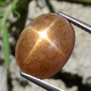 Pietra solare stellare Marrone dorato naturale da 8.39 ct, Taglio ovale, Opaco
