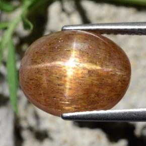 Pietra solare stellare Marrone dorato naturale da 8.39 ct, Taglio ovale, Opaco