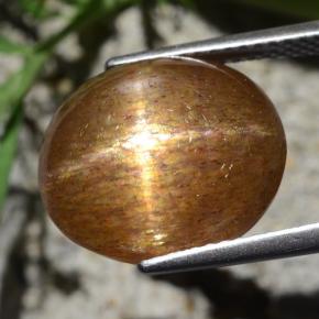 Pietra solare stellare Marrone dorato naturale da 9.24 ct, Taglio ovale, Opaco