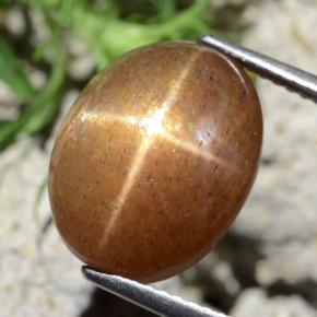 Pietra solare stellare Marrone dorato naturale da 9.10 ct, Taglio ovale, Opaco
