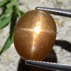 Pietra solare stellare Marrone dorato naturale da 6,67 ct, Taglio ovale, Opaco