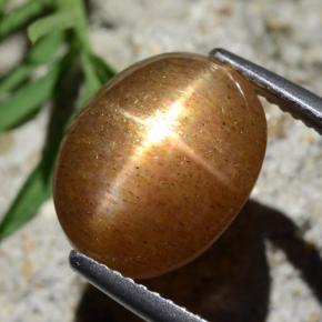 Pietra solare stellare Marrone dorato naturale da 6,67 ct, Taglio ovale, Opaco